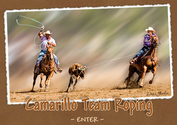 team roping steers in michigan
